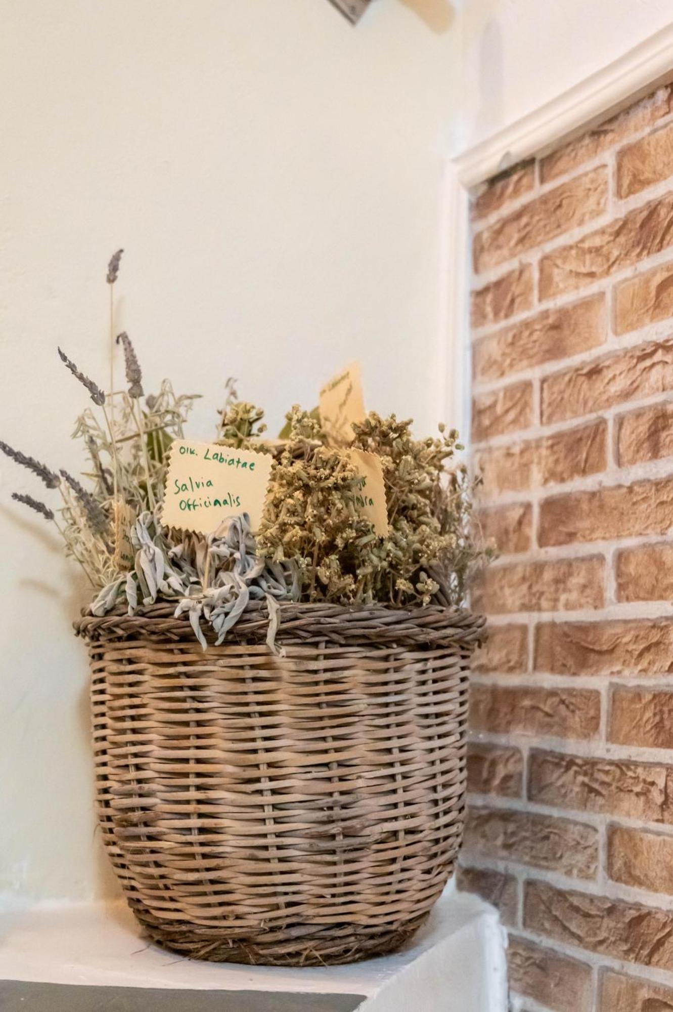 Golden Nest Villa Hriszí Aktí Haniá Kültér fotó